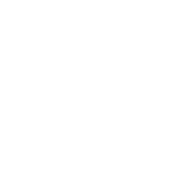 scouts